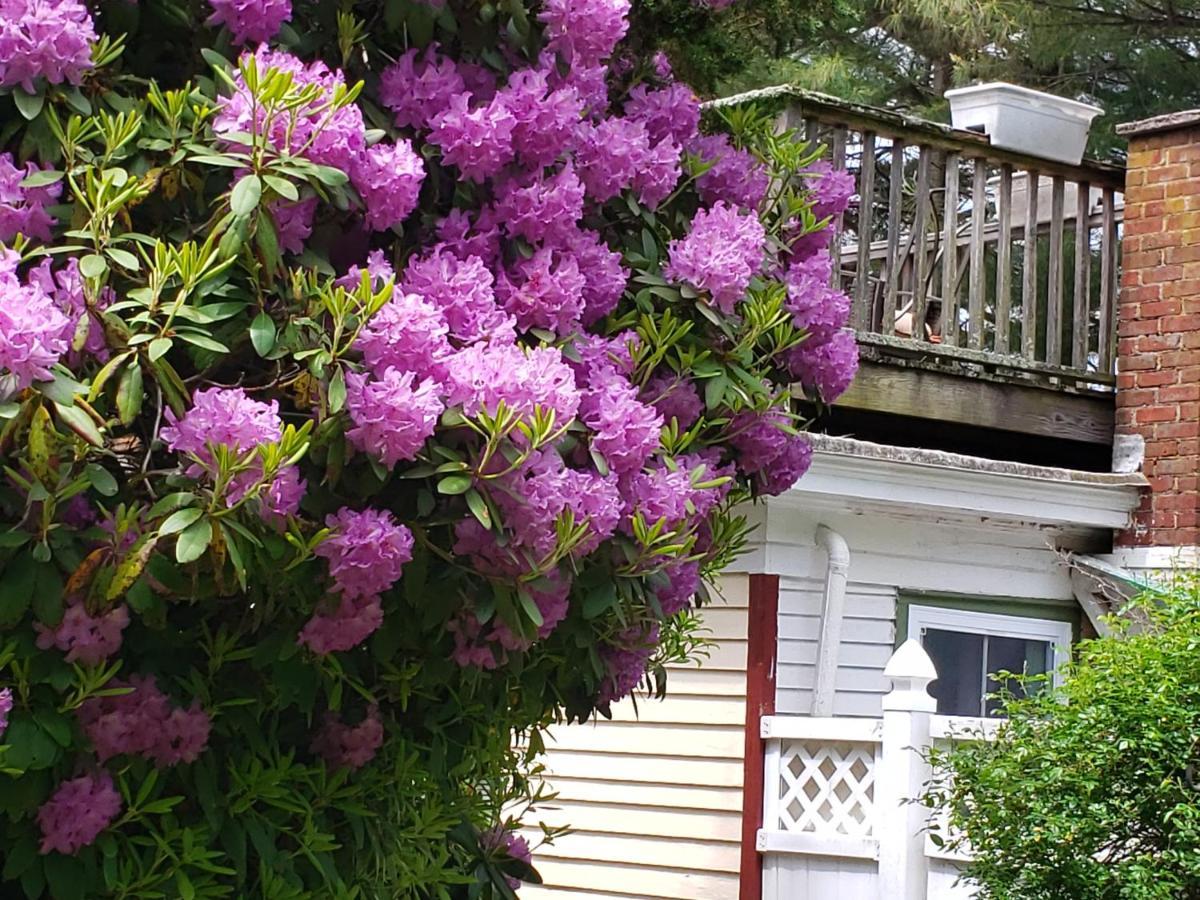 Arbor View House Bed And Breakfast East Marion Exterior foto